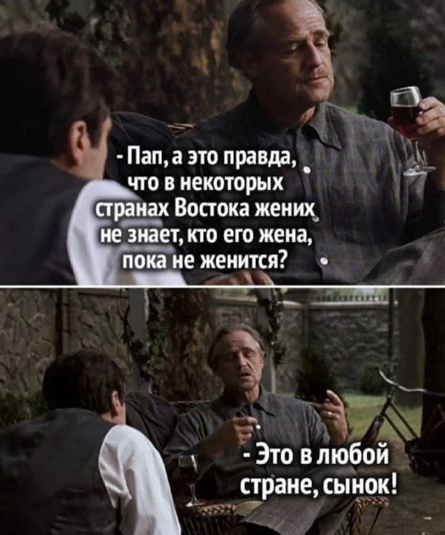 Подборка веселых приколов: почему юмор так важен для человека