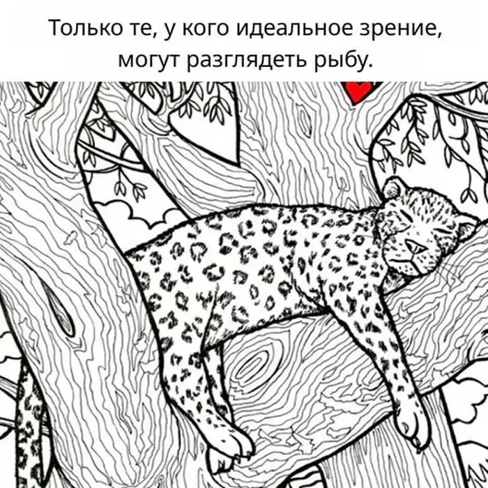 Где здесь спрятана рыба? Эта загадка сводит с ума интернет! 😱🔍