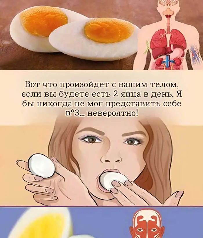 🌟 «Что на самом деле происходит, если есть по 2 яйца каждый день?»