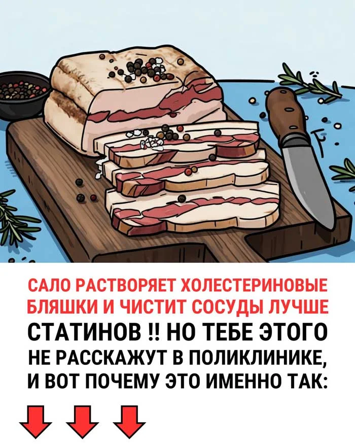 🥓 «Сало, которое спасает сердце: что врачи скрывают уже 50 лет!»