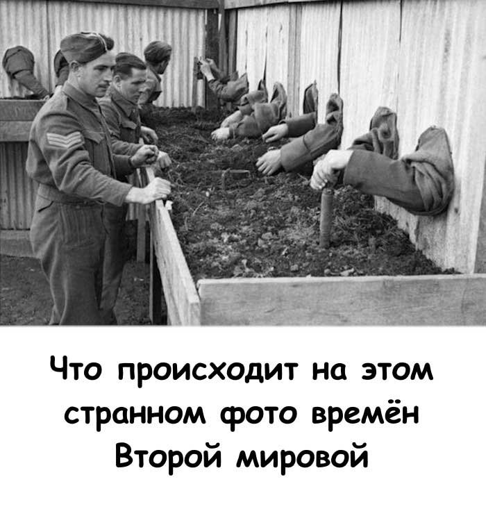 «Что скрывает это загадочное фото времен Второй мировой войны?»