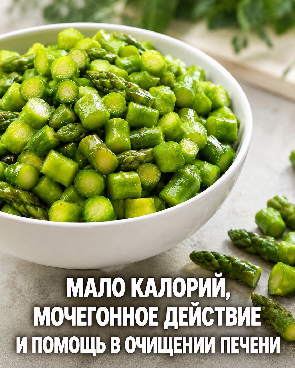 Не только вкусный гарнир: 10 удивительных фактов о спарже, которые стоит знать каждому