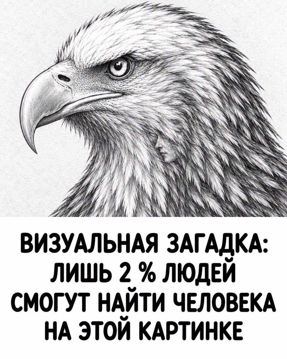 95 % не смогут найти лицо за 10 секунд! Проверьте, обманет ли эта оптическая иллюзия ваши глаза